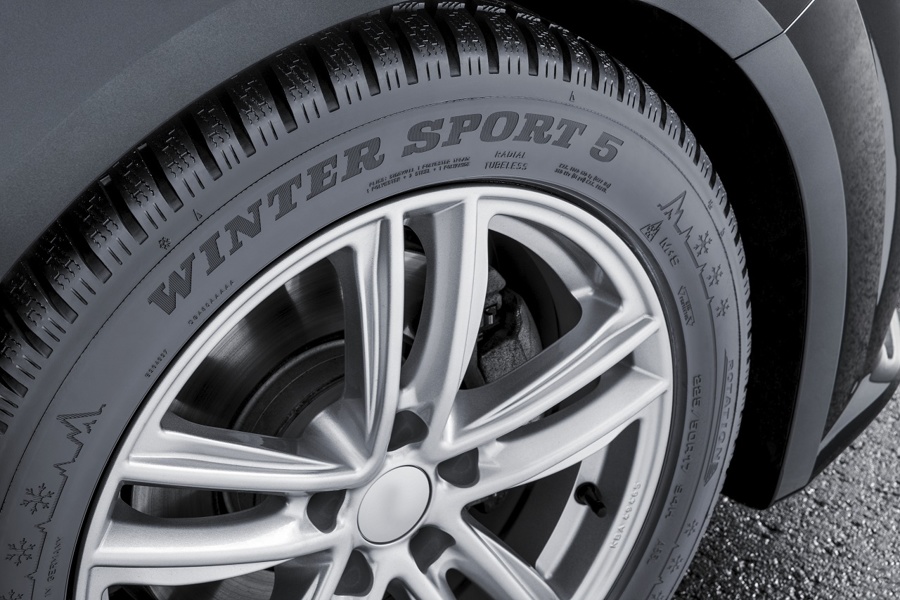 Dunlop Winter Sport 5