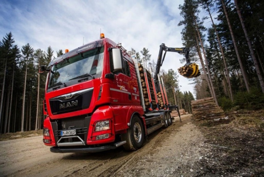 Učinkovite rešitve za prevoz lesa