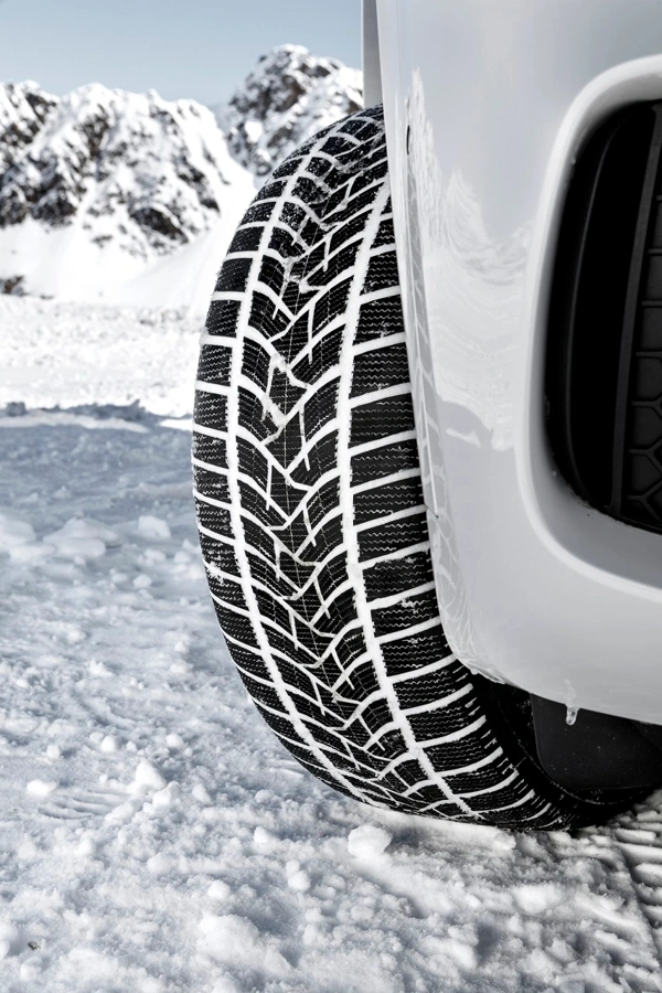 Goodyear in Dunlop z novima zimskima pnevmatikama za športne terence