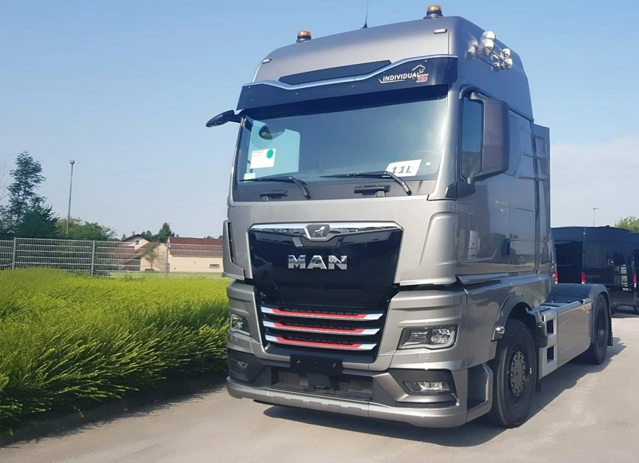 man-tgx-individual-lion-s
