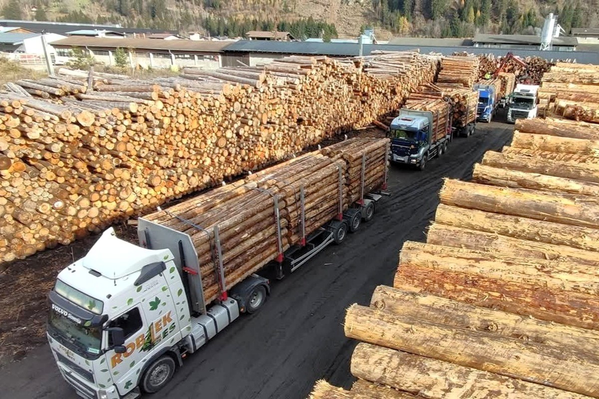 Marko Malovrh - Striček